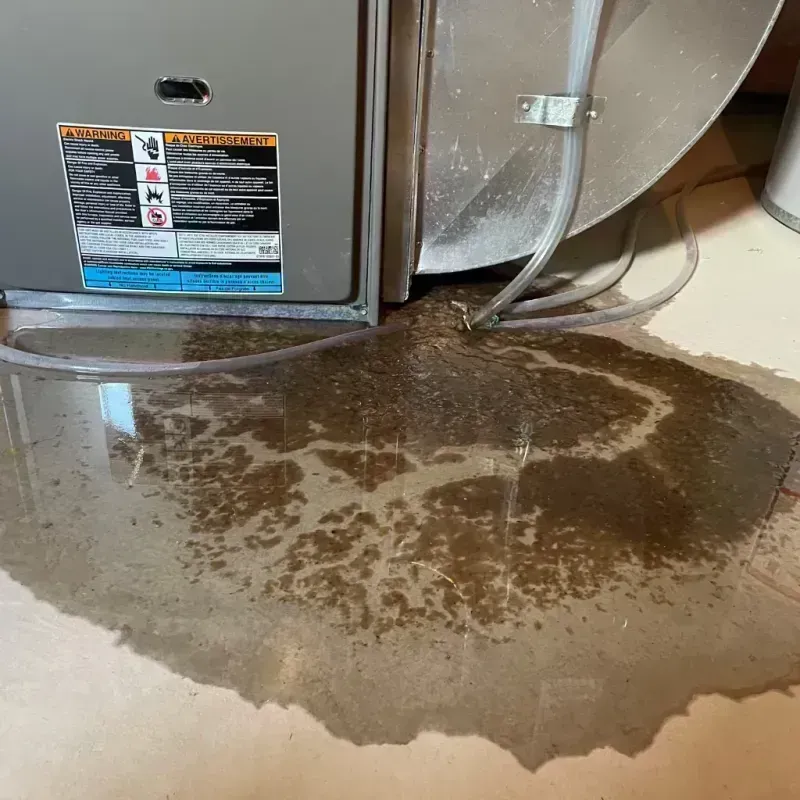 Appliance Leak Cleanup in Town and Country, MO